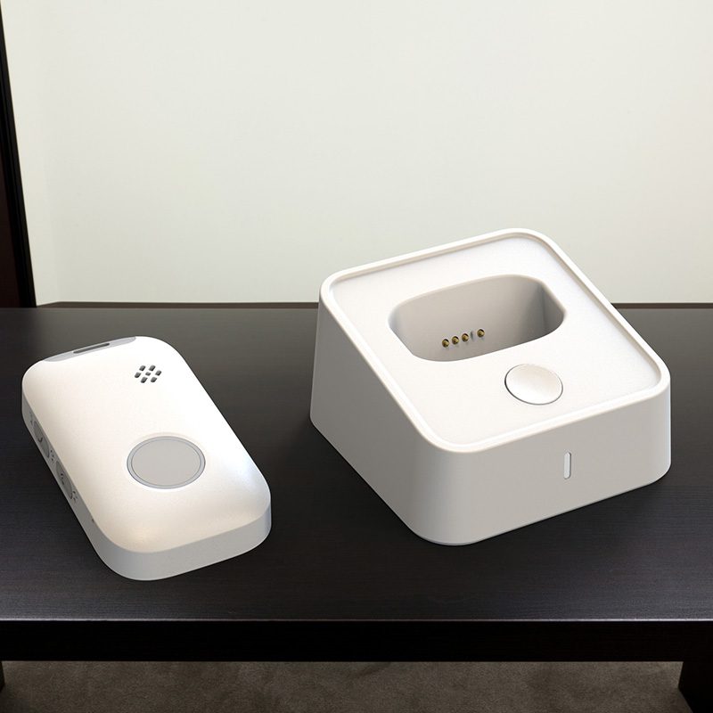 EV 12 GPS Pendant 4 Eview