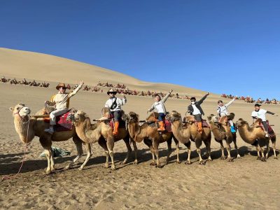 4abad49c-a402-4fe0-9b0a-26b40ebadfb3