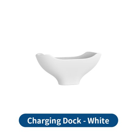 Charging Dock - White